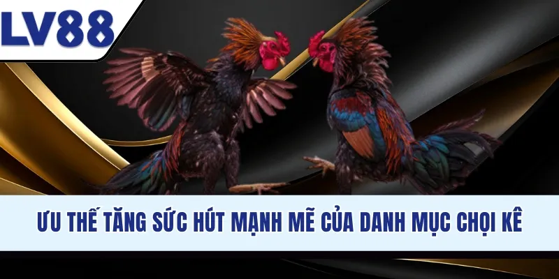 Các thông tin cơ bản về sảnh chọi kê đỉnh cao